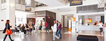 School media preview